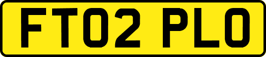 FT02PLO