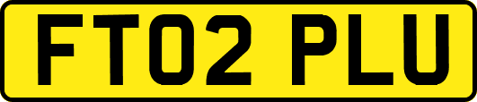 FT02PLU