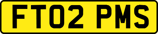 FT02PMS