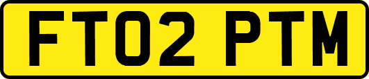 FT02PTM