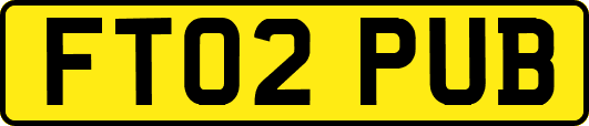 FT02PUB