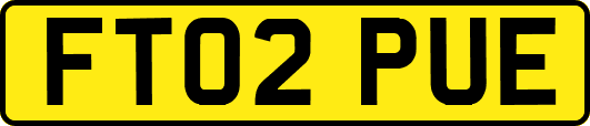 FT02PUE