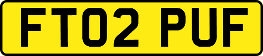 FT02PUF
