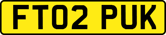 FT02PUK
