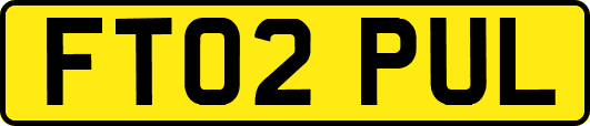 FT02PUL