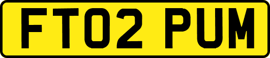 FT02PUM