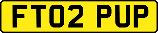 FT02PUP