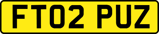 FT02PUZ
