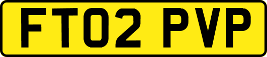 FT02PVP
