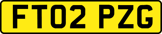 FT02PZG