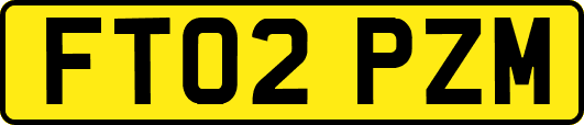FT02PZM