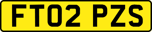 FT02PZS