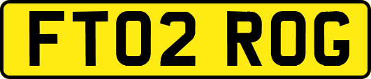 FT02ROG