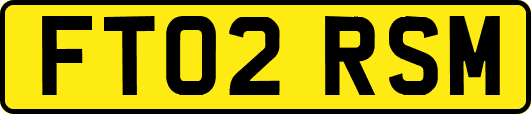 FT02RSM