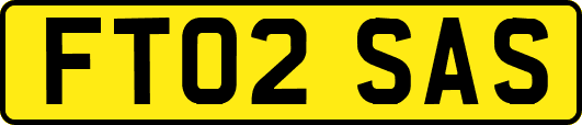 FT02SAS