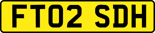 FT02SDH