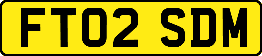 FT02SDM