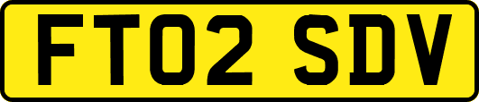 FT02SDV