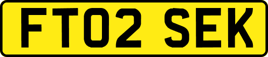 FT02SEK