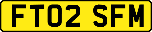 FT02SFM