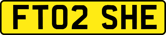 FT02SHE