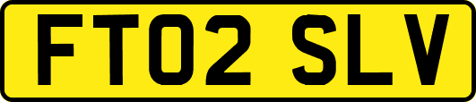 FT02SLV