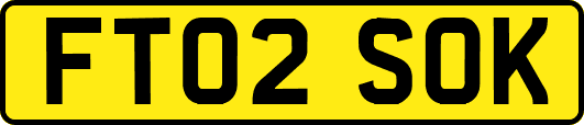FT02SOK