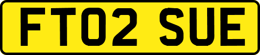 FT02SUE
