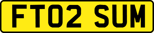FT02SUM