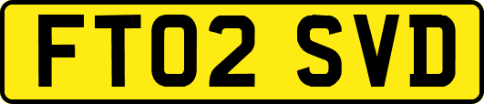 FT02SVD