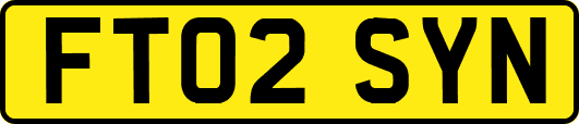 FT02SYN