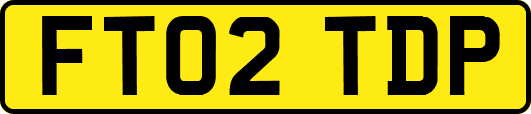 FT02TDP