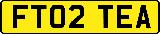 FT02TEA
