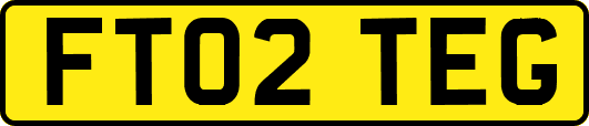 FT02TEG