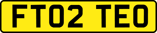 FT02TEO