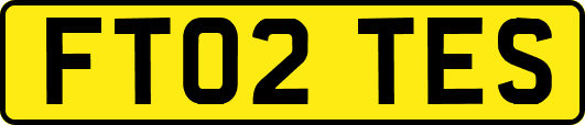 FT02TES