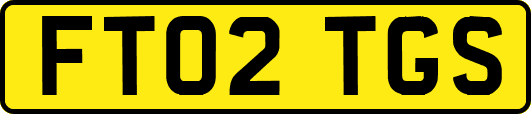 FT02TGS