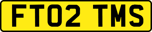 FT02TMS