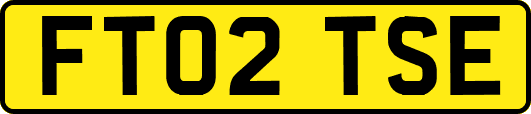 FT02TSE