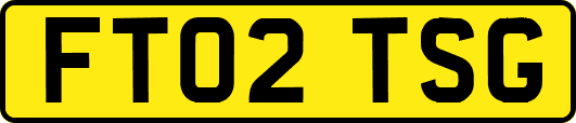 FT02TSG