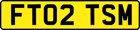 FT02TSM