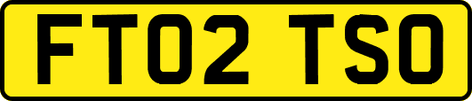 FT02TSO