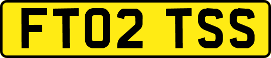 FT02TSS