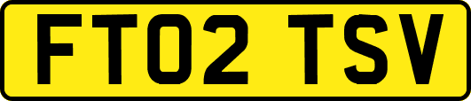 FT02TSV