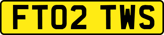 FT02TWS