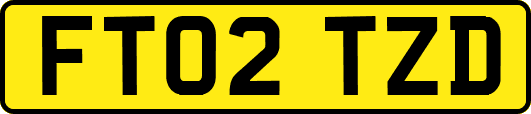 FT02TZD