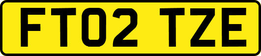 FT02TZE