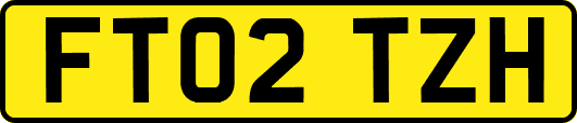 FT02TZH