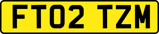 FT02TZM