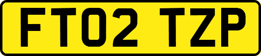FT02TZP